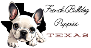French bulldog puppies -tx